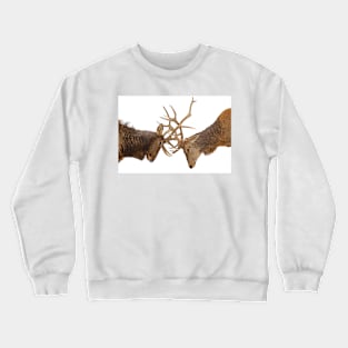 Elk Fight Crewneck Sweatshirt